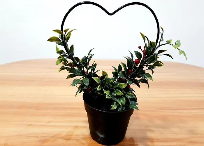 公寓 Sea, & Sun Flat